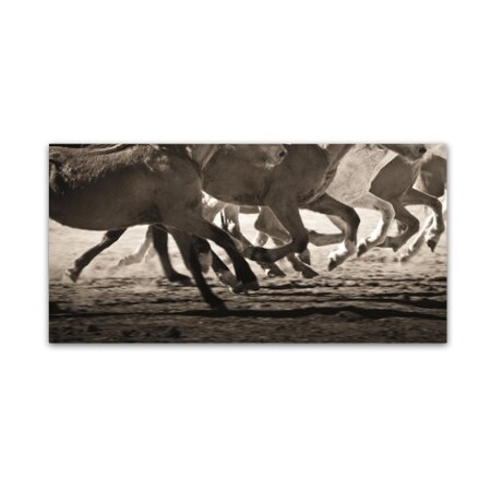 Off to the Races by Lisa Cueman, 24x47-Inch Canvas Wall Art